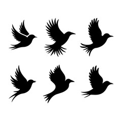 Collection of six unique bird silhouettes in various poses, including perched and flying forms, rendered in black on white, showcasing avian diversity and graphic elegance.