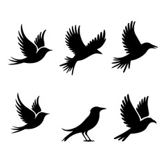 Collection of six unique bird silhouettes in various poses, including perched and flying forms, rendered in black on white, showcasing avian diversity and graphic elegance.