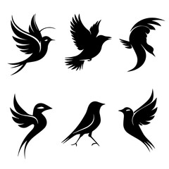 Collection of six unique bird silhouettes in various poses, including perched and flying forms, rendered in black on white, showcasing avian diversity and graphic elegance.