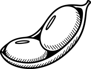 Hand-drawn illustration of a soybean pod with beans inside