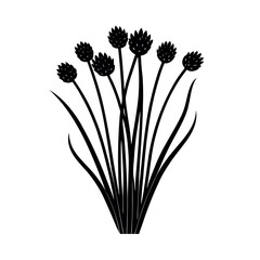 chives black white vector silhouette