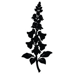 Elegant black silhouette of a blooming flower stem