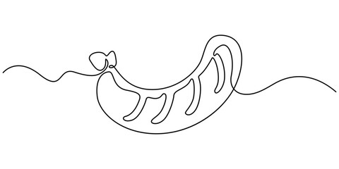Grilled sausage  continuous one line art drawing, Barbecue Party Continuous Line Editable Stroke Line, Hot dog one continuous line design. Restaurant food menu design concept. Decorative elements draw