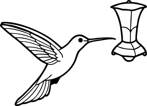 black and white hummingbird flying near feeder clip art preview