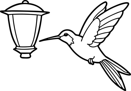 hummingbird flying near lamp, black and white clip art preview