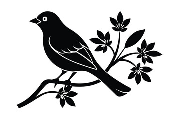 Silhouette bird perched on blooming branch spring nature