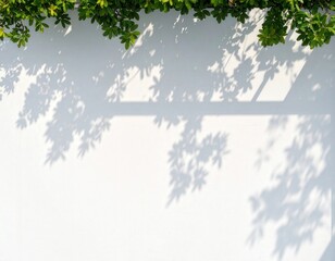 Green leaves casting shadows on a white wall creating a textured backdrop