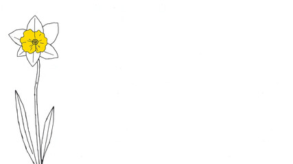 Single daffodil flower simple line drawing white background design