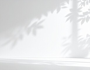 Minimalist white wall with soft leaf shadows creating a serene and calming atmosphere