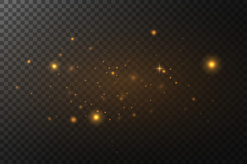 Bright gold glittering particles.Glittering magic dust particles.Vector.EPS 10.