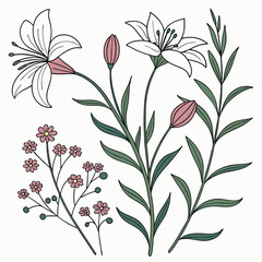 Hand-Sketched Botanical Chart Vector with Beautifully Arranged Plants, Detailed Illustrations, and Artistic Design EPS

