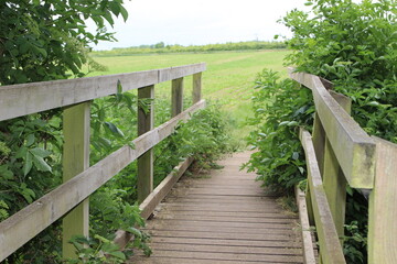 Wooden footbridge