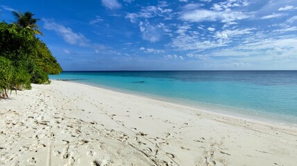 sandy beach with palm trees