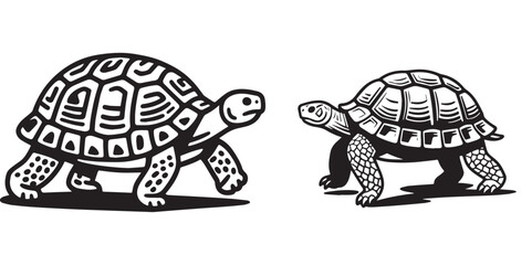Two vector graphic designs showcase stylized turtles. 