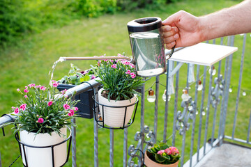 watering plants on a balcony