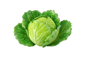 Fototapeta premium Cabbage isolated on transparent background 