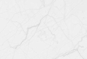 Obraz premium Intricate veining in polished white marble, natural stone texture, stone wall, interior design