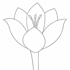 Flower simple and minimal line art illustration on white background