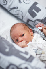 portrait of newborn baby boy at home