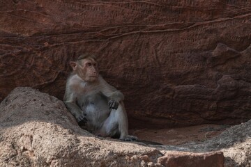 Badami Caves are a unique architectural complex in the state of Karnataka, India.