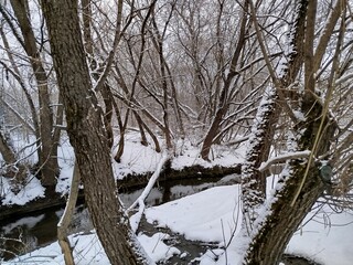 Winter Stream through Snowy Forest