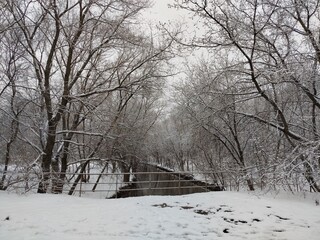 Snowy trees surround small waterfall