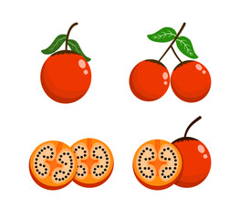 Colorful Tamarillo Fruit (Solanum betaceum) – Fresh Tropical Fruit Vector