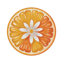 Fresh orange fruit slice isolated on white background