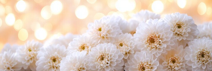Lovely white flowers with soft lights in the background create a serene atmosphere for any occasion, highlighting nature's beauty