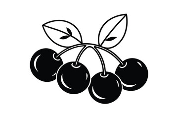 Fresh ripe cherries bunch black and white illustration