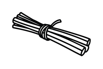 Bundle of fresh green onions tied together