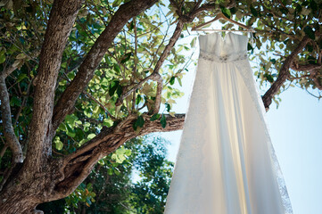Elegant Wedding Dress Hanging on Tree Branch in Outdoor Natural Setting.
