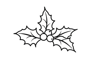 Simple line drawing of holly berries and leaves christmas design