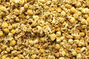 Dry chamomile flowers as background, top view