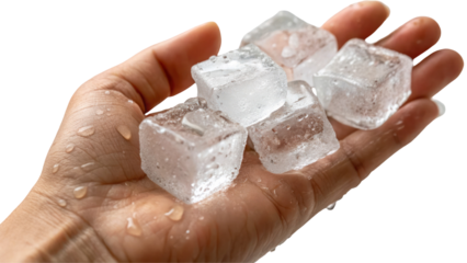 Hand holding ice cubes on transparent background

