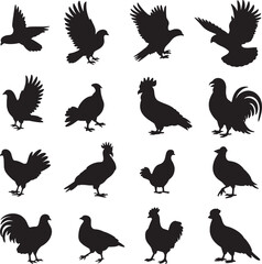 Collection of silhouettes various birds poultry