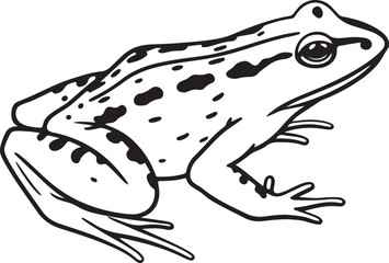 Naklejka premium A Amphibian line art