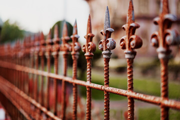 Rustic Iron Fence With Decorative Spikes in a Garden Setting..