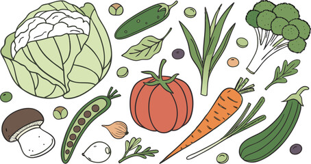 Watercolor Vegetables Set | a watercolor-style vector illustration of a variety of fresh vegetables arranged on a white background. Include colorful, hand-painted representations of vegetables.