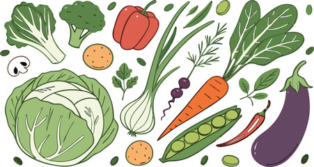 Watercolor Vegetables Set | a watercolor-style vector illustration of a variety of fresh vegetables arranged on a white background. Include colorful, hand-painted representations of vegetables.