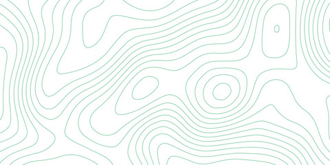 Abstract topographic lines green and white background texture © md