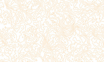 Fototapeta premium Background of the topographic map. Topographic lines, contour background. topo map texture. Dense lines, Background of the topographic map. Topographic lines texture.