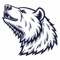 vector illustration of a bear