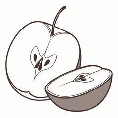illustration of apple