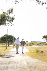 Fototapeta premium Senior couple walking away on path holding hands in park