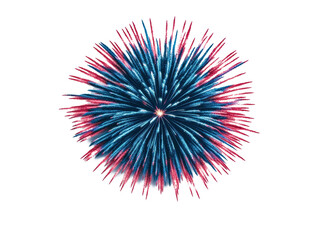 Colorful explosion of fireworks for celebration events and occasions on a transparent background, cut out