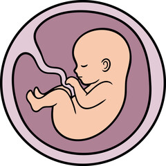 Human fetus in womb vector illustration with pink and purple colors natural flow 