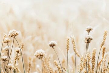 Golden wheat and wildflowers sway in the breeze