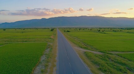 Fototapeta premium Asphalt road through lush green rice paddies, mountains in the distance