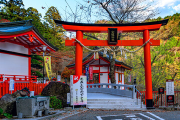  歴史感じる金櫻神社の参道と鳥居　山梨県